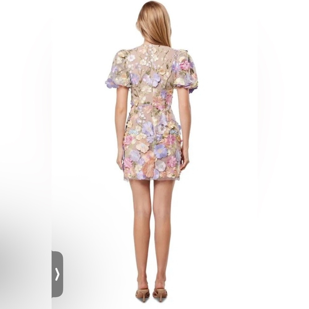 NEW Elliatt -Anthea Floral Embroidered Sheer  Dress- Large 10-12 NWT - Picture 5 of 6
